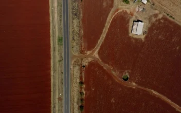 Video Stock Red Ground Agriculture Fields Free