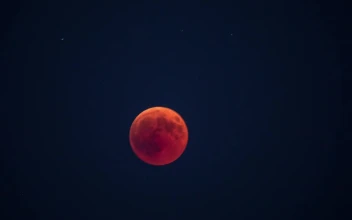 Video Stock Red Or Blood Moon Time Lapse Free