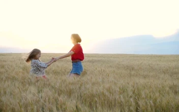 Free Stock Video Sisters Playing On A Wheat Field