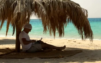 Free Stock Video Sitting In The Shade Working