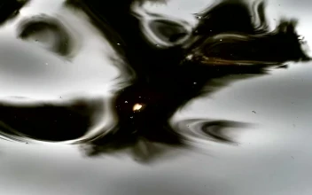 Free Stock Video Reflections In The Water