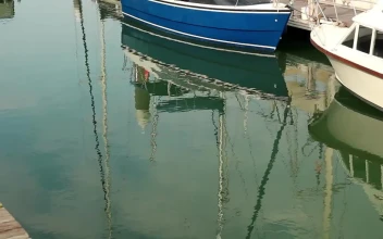 Free Stock Video Reflections Of Boats In A Harbor