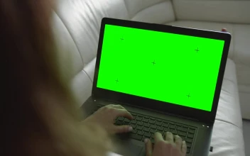 Free Stock Video Relaxed Woman Browses Website On Laptop Greenscreen