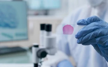 Free Stock Video Researcher Holding A Sample