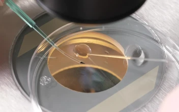 Free Stock Video Researcher Using A Microscope