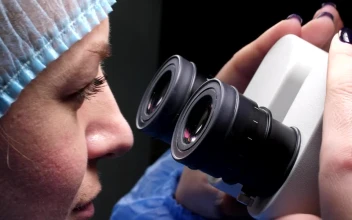 Free Stock Video Researcher Using Her Microscope
