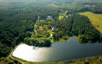 Free Stock Video Resort Deep In A Forest