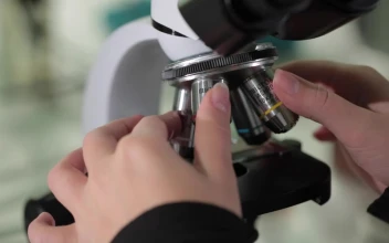 Free Stock Video Reviewing A Test Sample With A Microscope