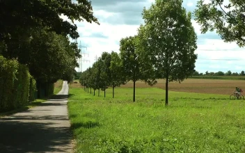 Free Stock Video Riding A Bicycle In The Countryside