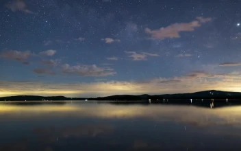 Free Stock Video Right Split And Bounce Transition