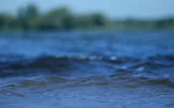 Free Stock Video Ripples Across A Lake Surface
