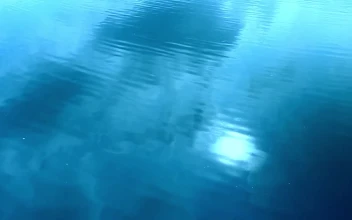 Free Stock Video Ripples Across A Deep Lake