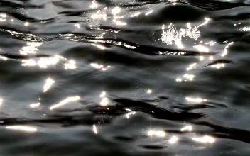 Free Stock Video Ripples Across A Pool