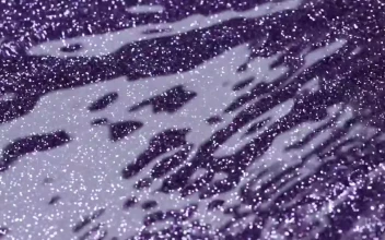 Free Stock Video Rippling Purple Water