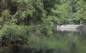 Free Stock Video River Boat Tour In Hanoi