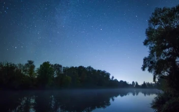 Free Stock Video River Flowing In A Forest Under The Stars