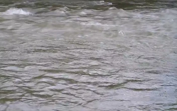 Free Stock Video River Flowing In Summer