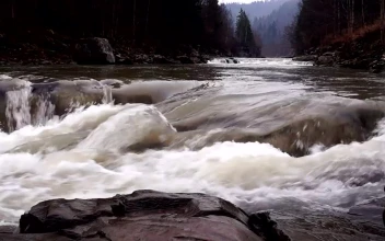 Free Stock Video River Flowing In The Mountains