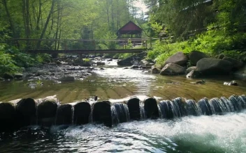 Free Stock Video River In A Cabin Area In The Woods