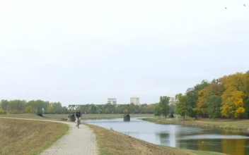 Free Stock Video River In A Large Park With People And Trees