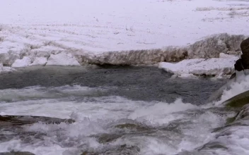 Free Stock Video River Stream Flowing In The Winter