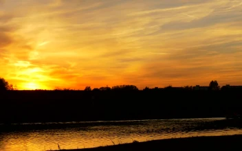 Free Stock Video River Water Flowing In The Sunset