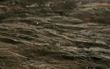 Free Stock Video River With Water Flowing In Slow Motion