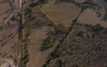 Free Stock Video Road Between The Fields In The Countryside