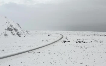 Free Stock Video Road Crossing A Snowy Landscape