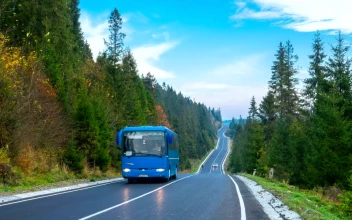 Free Stock Video Road In The Middle Of The Forest