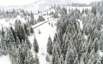 Free Stock Video Road In The Snow Covered Alps