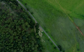 Free Stock Video Road Next To A Forest From The Heights