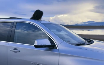 Free Stock Video Road Trip In A Pickup Truck On A Dirt Road