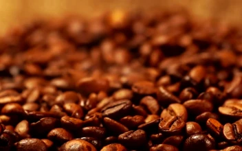 Free Stock Video Roasted Coffee Beans With Steam