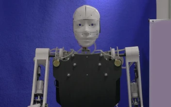 Free Stock Video Robot Greeting A Visitor