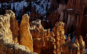 Free Stock Video Rock Formations In A Winter Forest