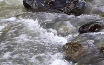 Free Stock Video Rocks In A Fast Running Stream