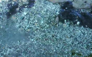 Free Stock Video Rocks Underwater Background Video