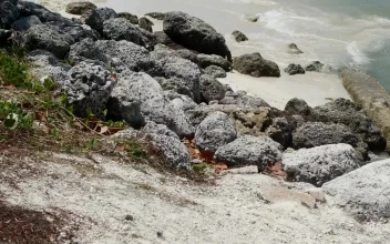 Free Stock Video Rocky Beach With Waves Reaching The Shore