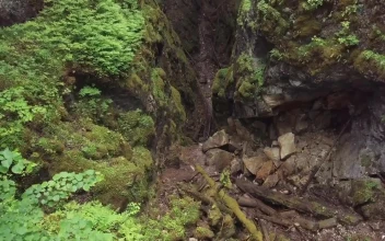 Free Stock Video Rocky Cliffs In The Middle Of A Forest