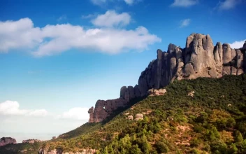 Free Stock Video Rocky Mountains In The Forest