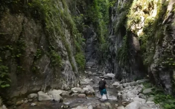 Free Stock Video Rocky River In A Forest Between Two Mountains