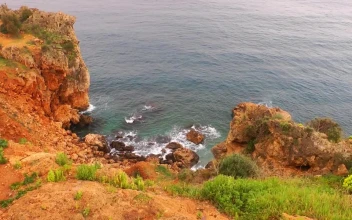 Free Stock Video Rocky Seashore High View