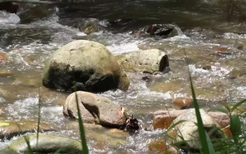 Free Stock Video Rocky Stream In The Hills
