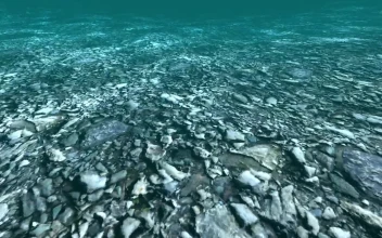 Free Stock Video Rocky Surface Under Water In D