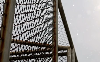 Free Stock Video Rooftop Cage Mesh