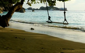 Free Stock Video Rope Swing On The Beach At Sunset