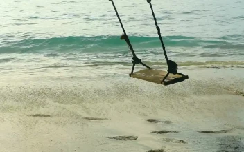 Free Stock Video Rope Swings On A Sandy The Beach