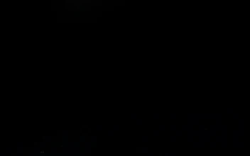 Free Stock Video Rose Falling Against A Black Screen