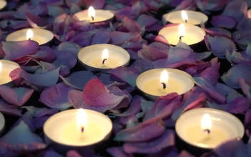Free Stock Video Roses And Candles Floating In A Wedding Decoration